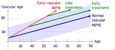 BP+ Vasuclar Age